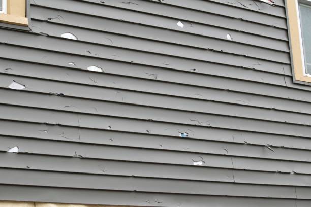 Best Engineered Wood Siding  in Pinebluff, NC