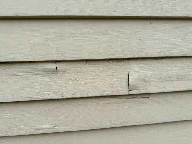 Best Insulated Siding Installation  in Pinebluff, NC